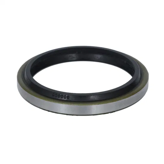 Customized Metal Wiper NBR with Iron Lip Seals Dust Wiper Seal for Cylinder Hydraulic